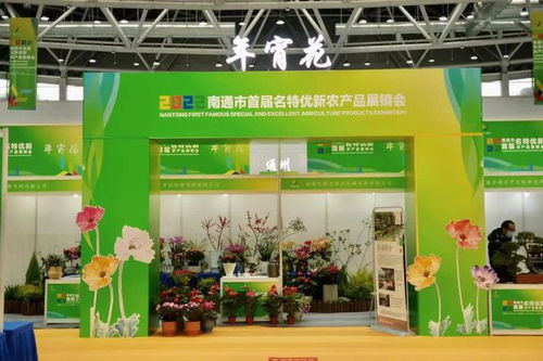 今晚開始 一共3天