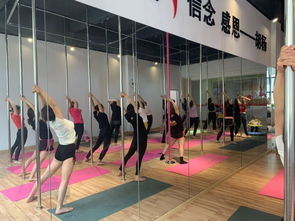 勁爆好消息！胡楊舞蹈周年特惠，僅198元體驗舞蹈魅力！